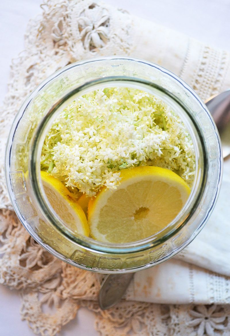 Homemade Elderflower Syrup MYREILLE RECIPES