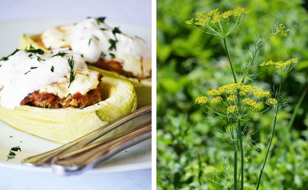 Stuffed Zuccini, Zucchini (or courgette) and dill are very fantastic together 